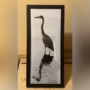 Framed Heron Art Photo Print “Serenity” taken by Dyan La Belle.